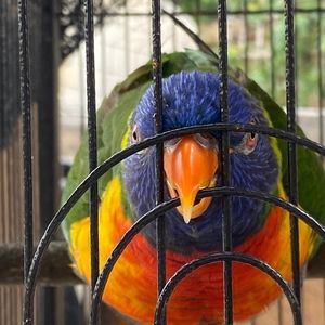 Meet your Posher, Gloria